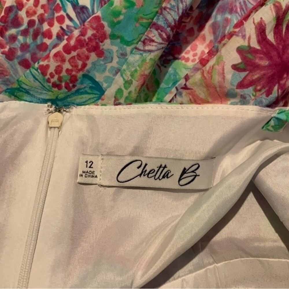 Chetta B Babydoll Dress Tropical Pineapple Novelty Print Multicolor Size 12 - Picture 8 of 13